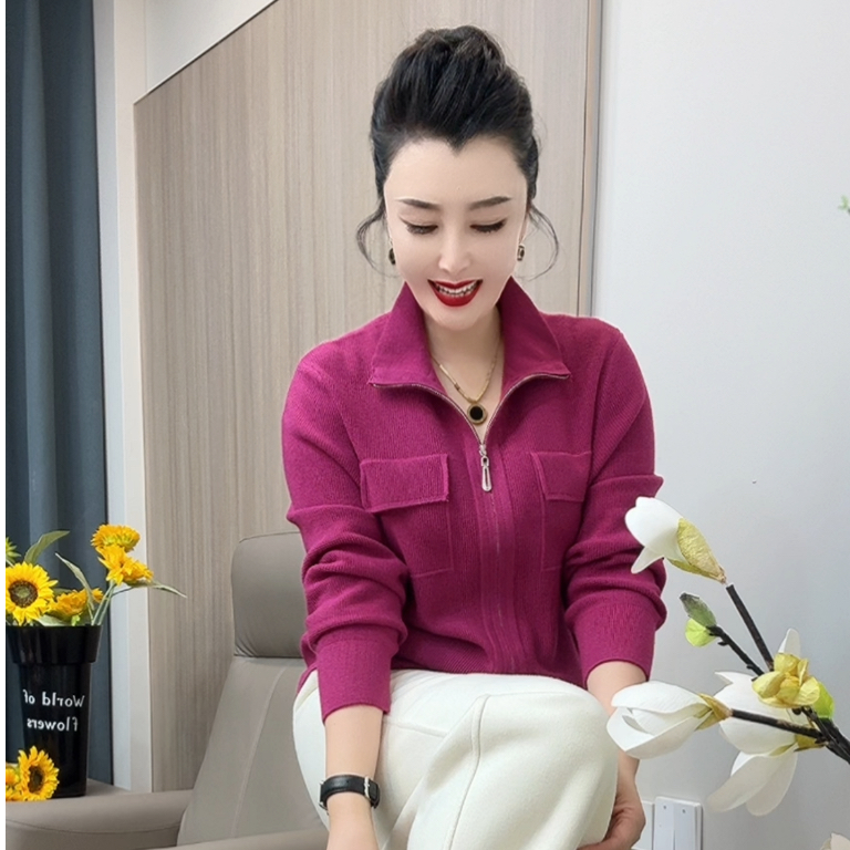 22网红长袖针织翻领运动休闲风显瘦秋季时尚毛针织衫简约大气上衣