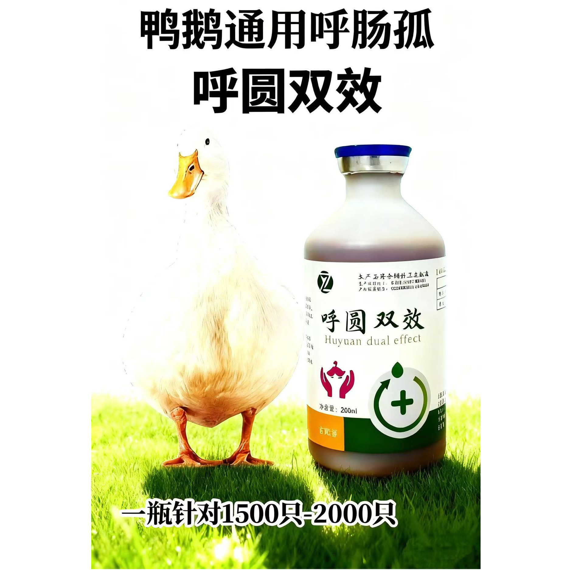 鸭鹅新型呼圆双效花肝花脾呼肠孤圆环跛脚瘫痪饲料添加剂