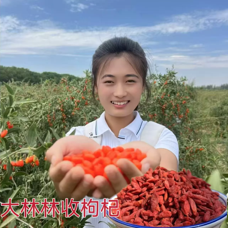 （林林）宁夏【红枸杞】 鲜果现摘 自然晾晒 颗粒饱满  保温杯常备