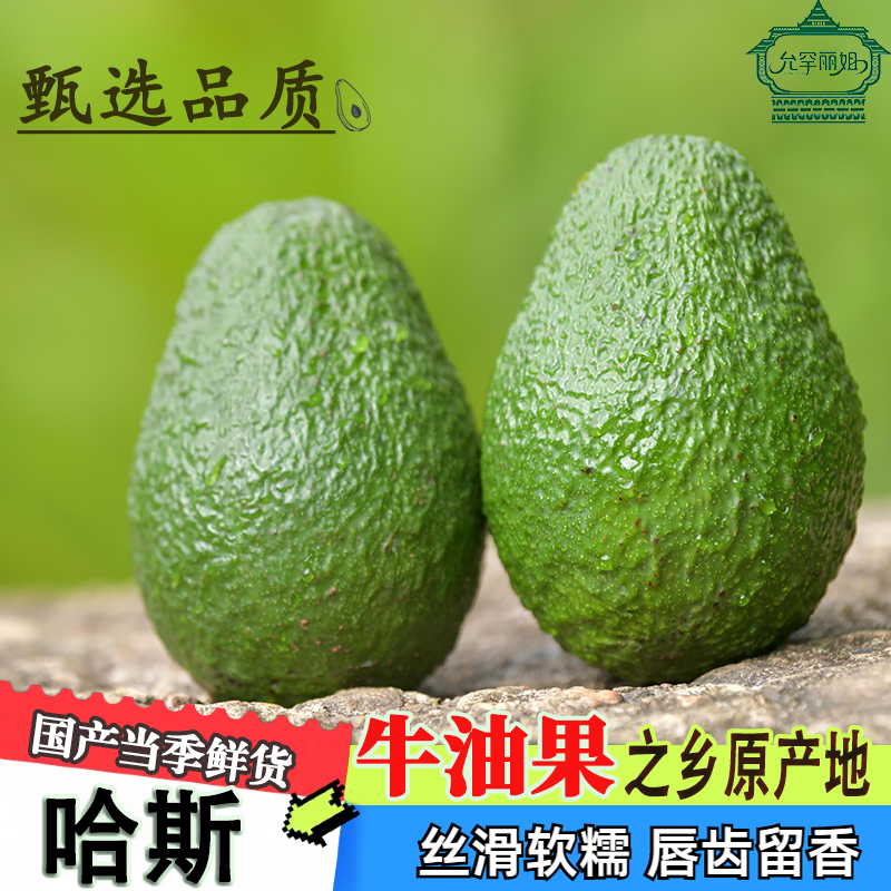 国产HASS云南哈斯牛油果孟连原产地*整箱按斤发营养丰富老少皆宜