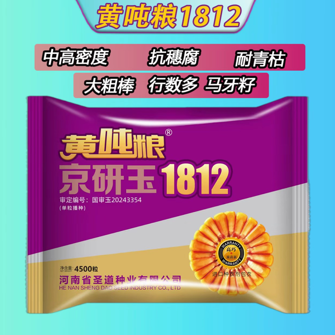 黄吨粮京研玉1812黄金品质中密度马牙齿行数多矮杆高产玉米种子