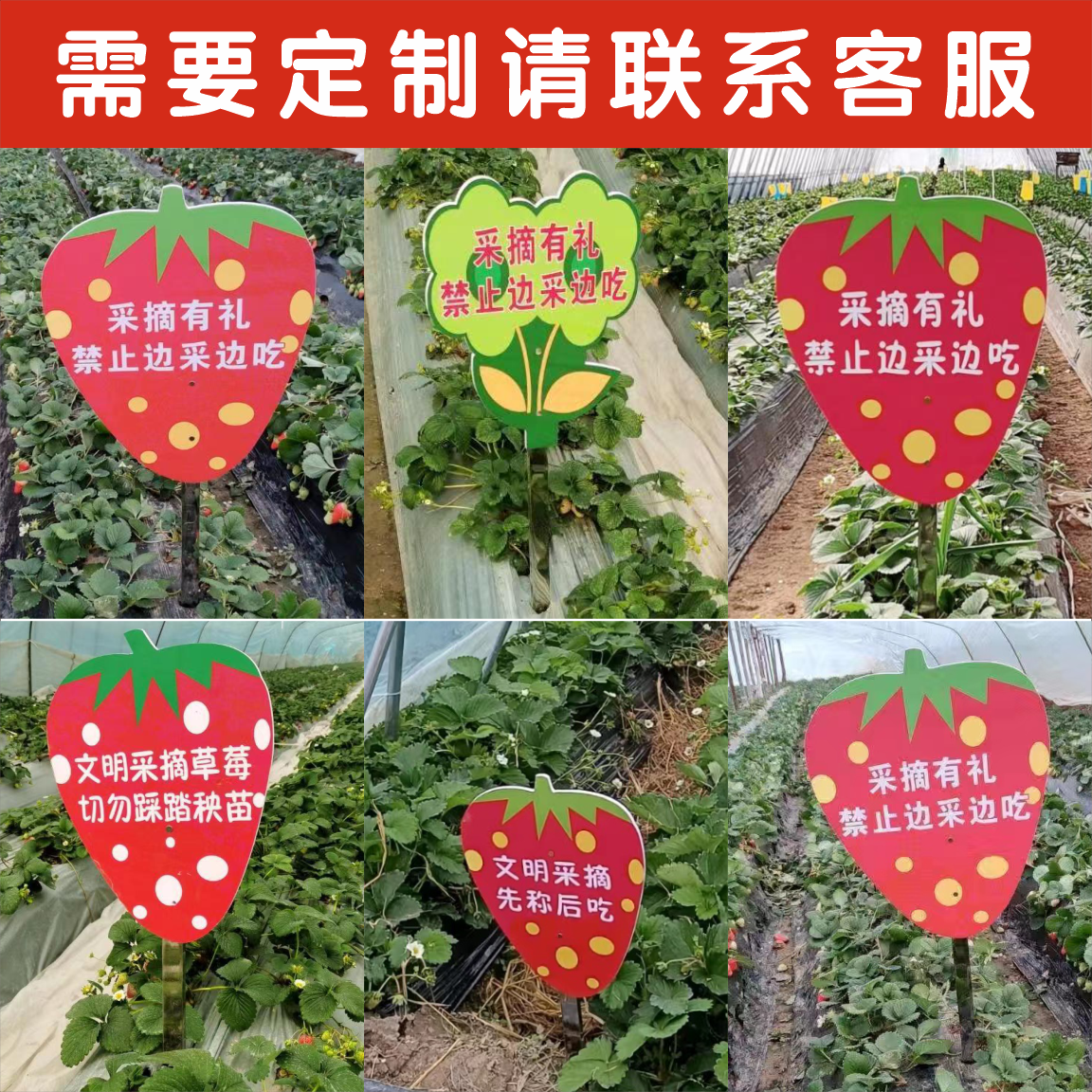 草莓园采摘方向指引牌采摘规则规章制度挂牌文明采摘可插地提示牌