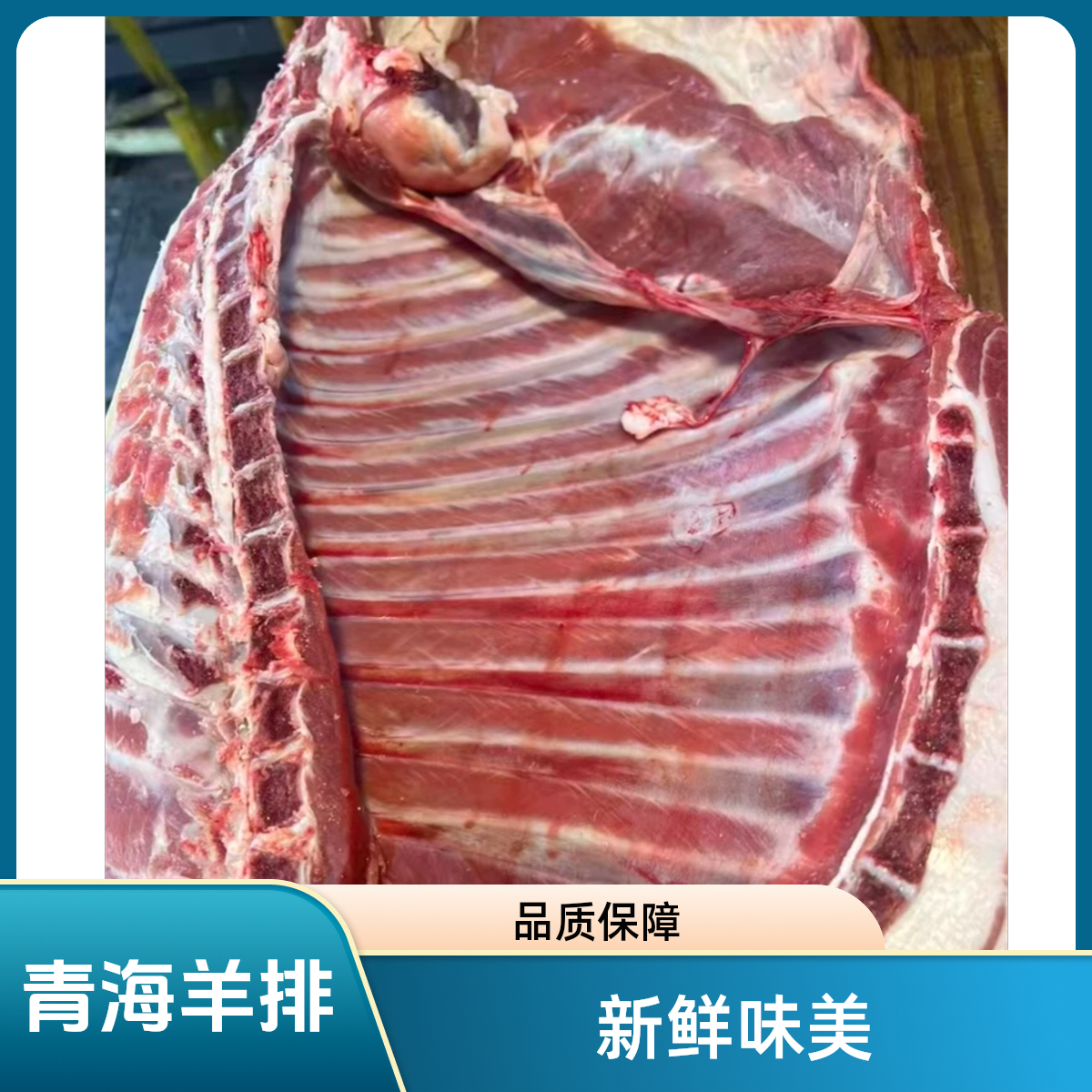 带皮整扇羊肋排多肉羊排骨顺丰包邮新鲜羊排肉批发抖音带皮羊排
