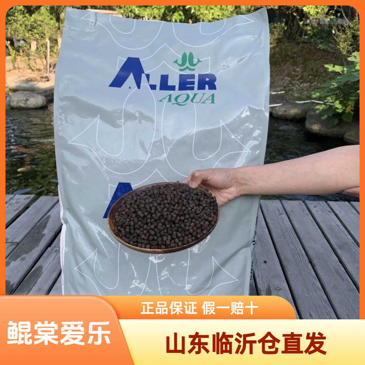 丹麦爱乐锦鲤饲料育成增体色扬高蛋白鱼食鱼粮增体饲料红标白标