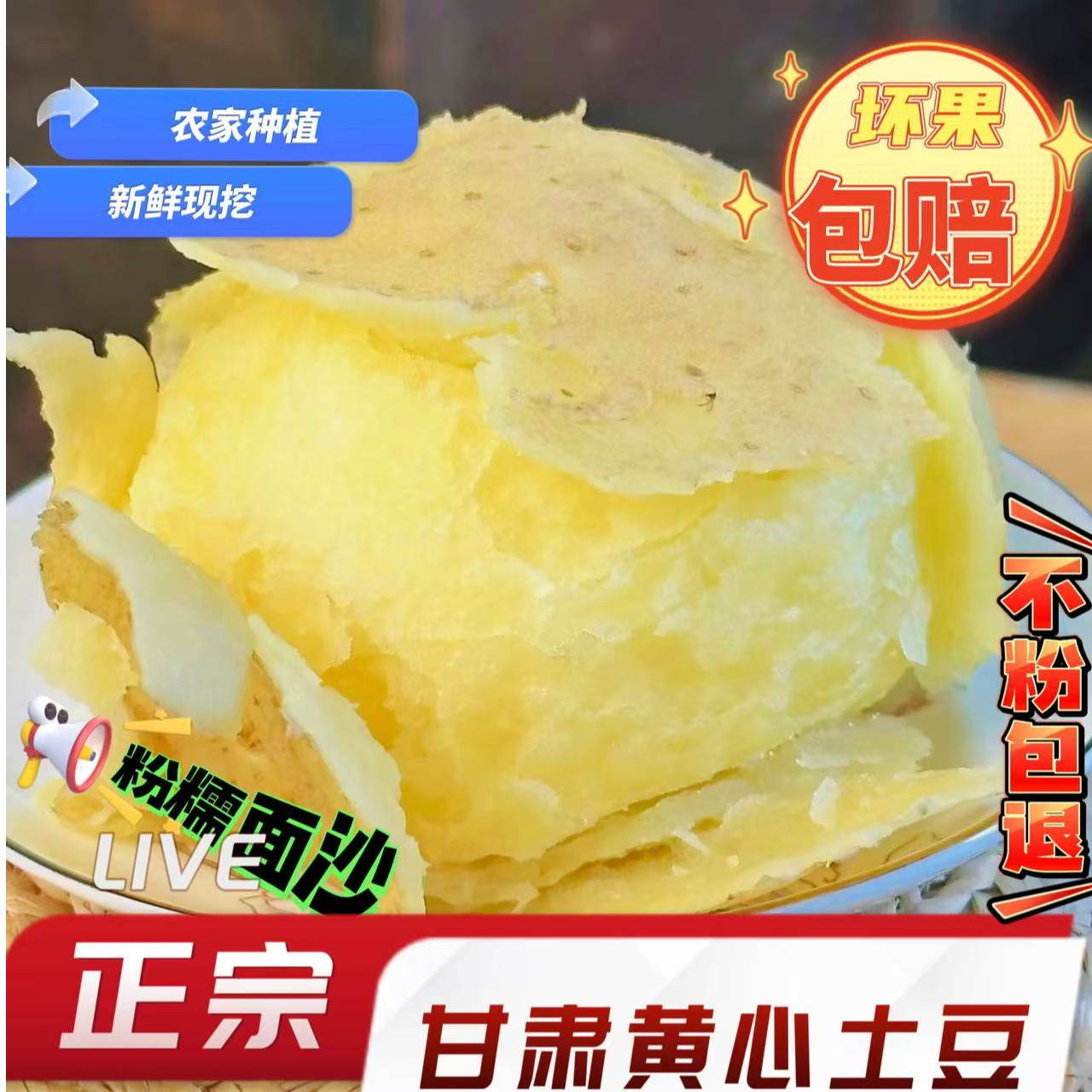 【定西土豆中大果更沙面】2025年定西当季现挖新鲜沙地沙面黄心土豆