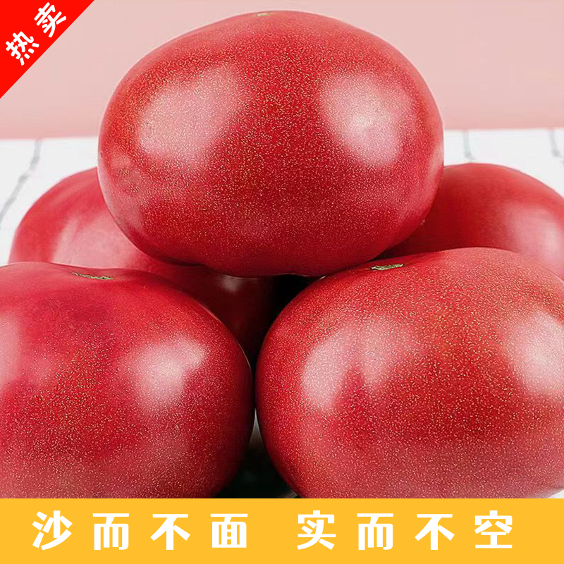 宁夏沙瓤西红柿可生吃有籽新鲜自然成熟果味浓郁大番茄粉果农家