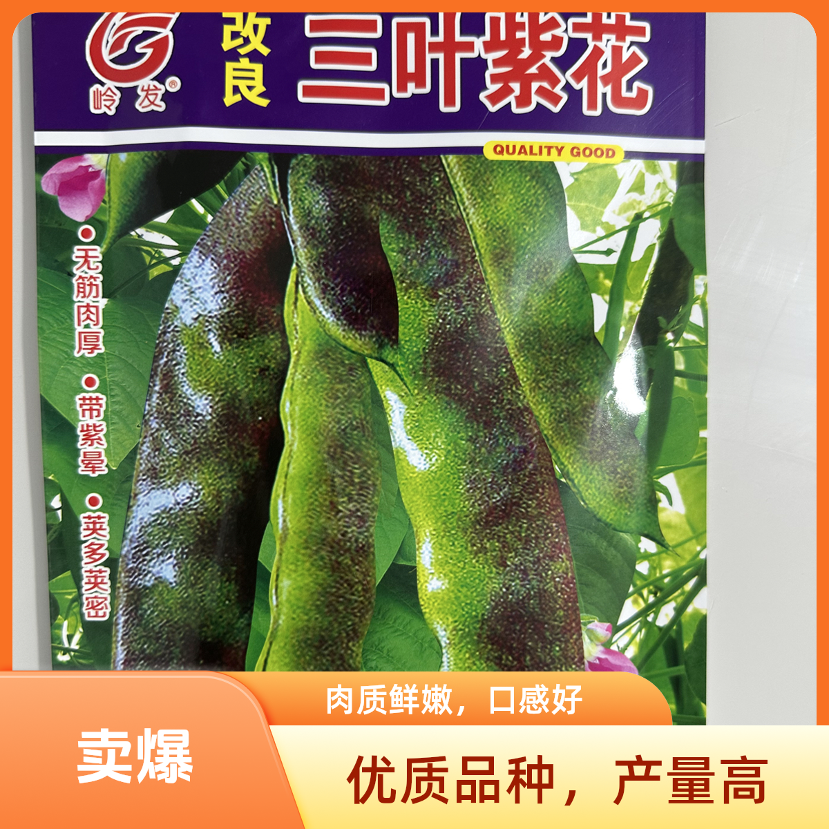 三叶紫花油豆角种子早熟高产开锅烂东北特色豆角种子