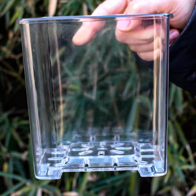 透明蝴蝶兰专用花盆兰花盆蝴蝶兰塑料花盆蝴蝶兰花盆家用多肉花盆