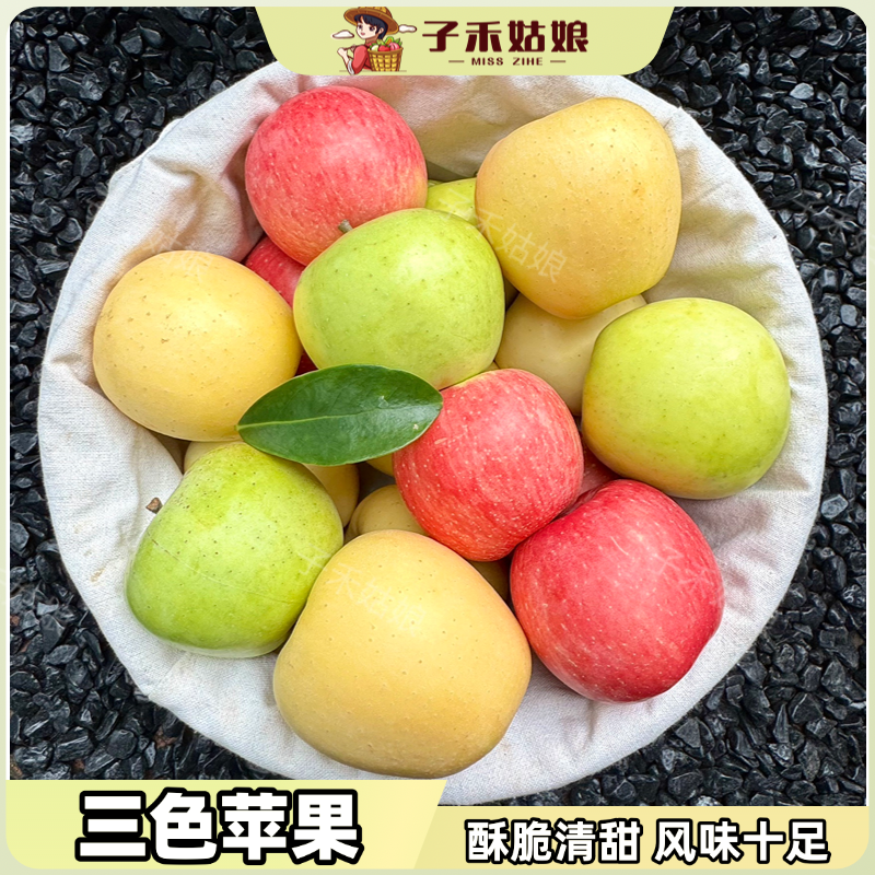 三色苹果·苹果三拼维纳斯瑞雪红富士新鲜现摘水果应季脆甜4.5斤