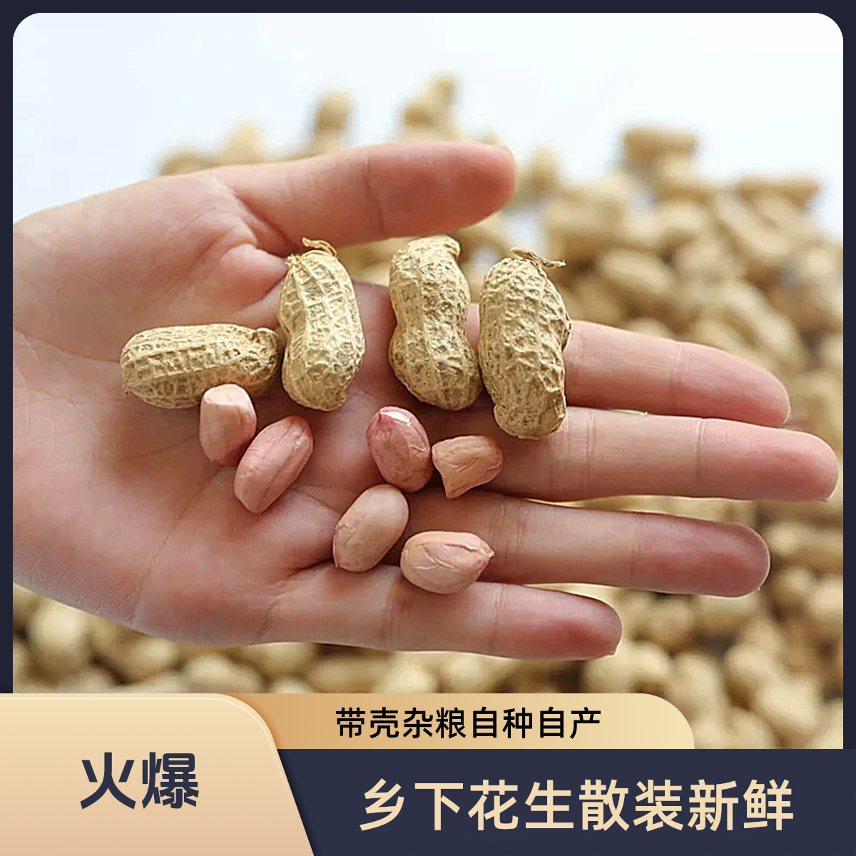 潮汕乡下带壳生散装杂粮花生农家自种自产晒干粉红皮原味新鲜5斤