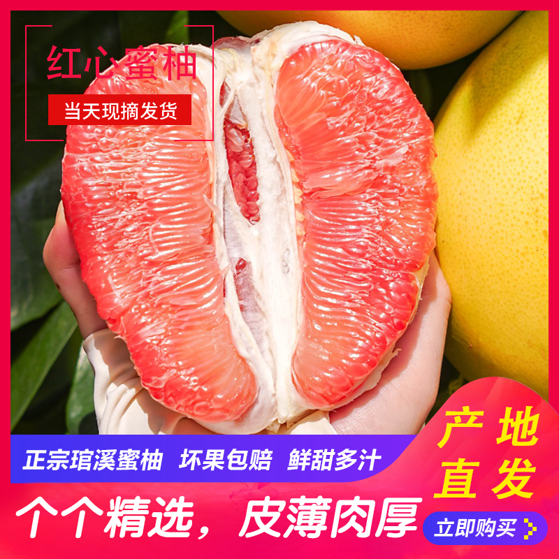D【福建·平和】红心蜜柚老树头茬鲜果皮薄鲜嫩多汁琯溪蜜柚森