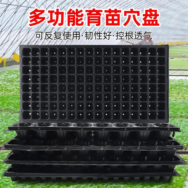 辣椒专用育苗盘72穴塑料杯种植神器营养钵蔬菜育种扦插盒农用托盘