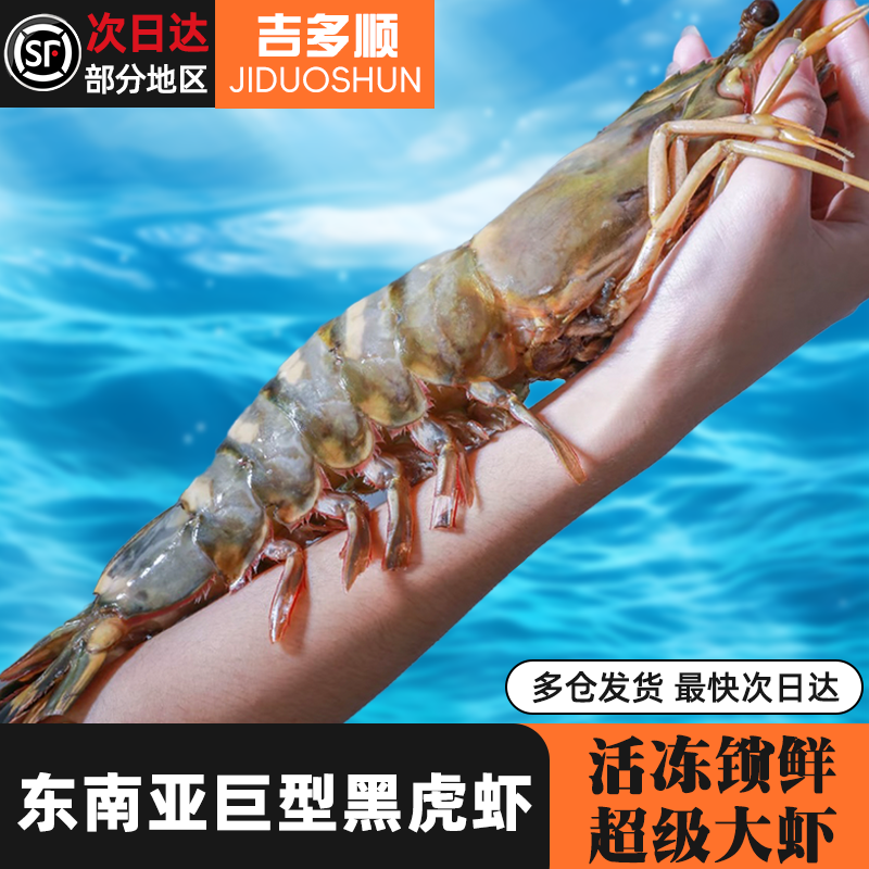 鲜活冷冻东南亚特大号黑虎虾 深海活捕锁鲜 精选手臂大虾斑节对虾