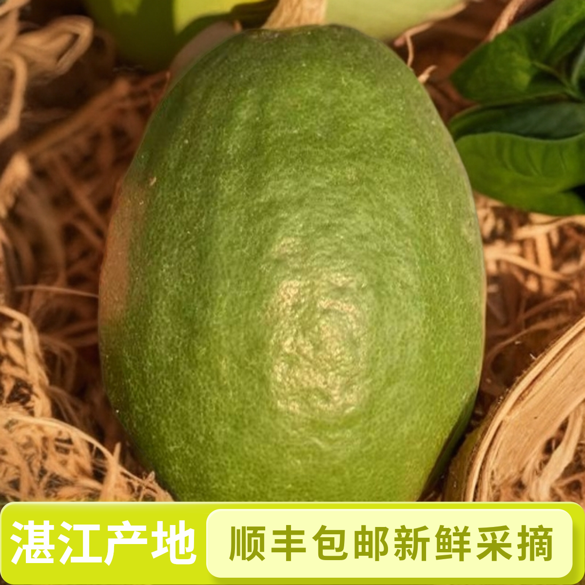 顺丰包邮广东无籽香水柠檬当季新鲜大果奶茶店专用果香水柠檬新鲜