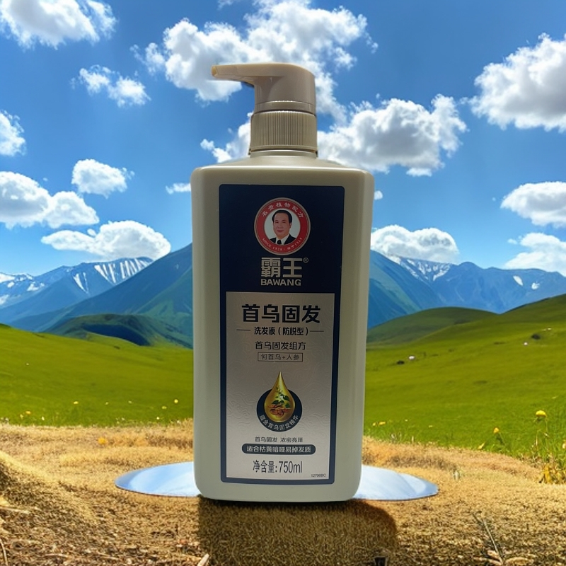 霸王首乌固发洗发液（防脱型）750g