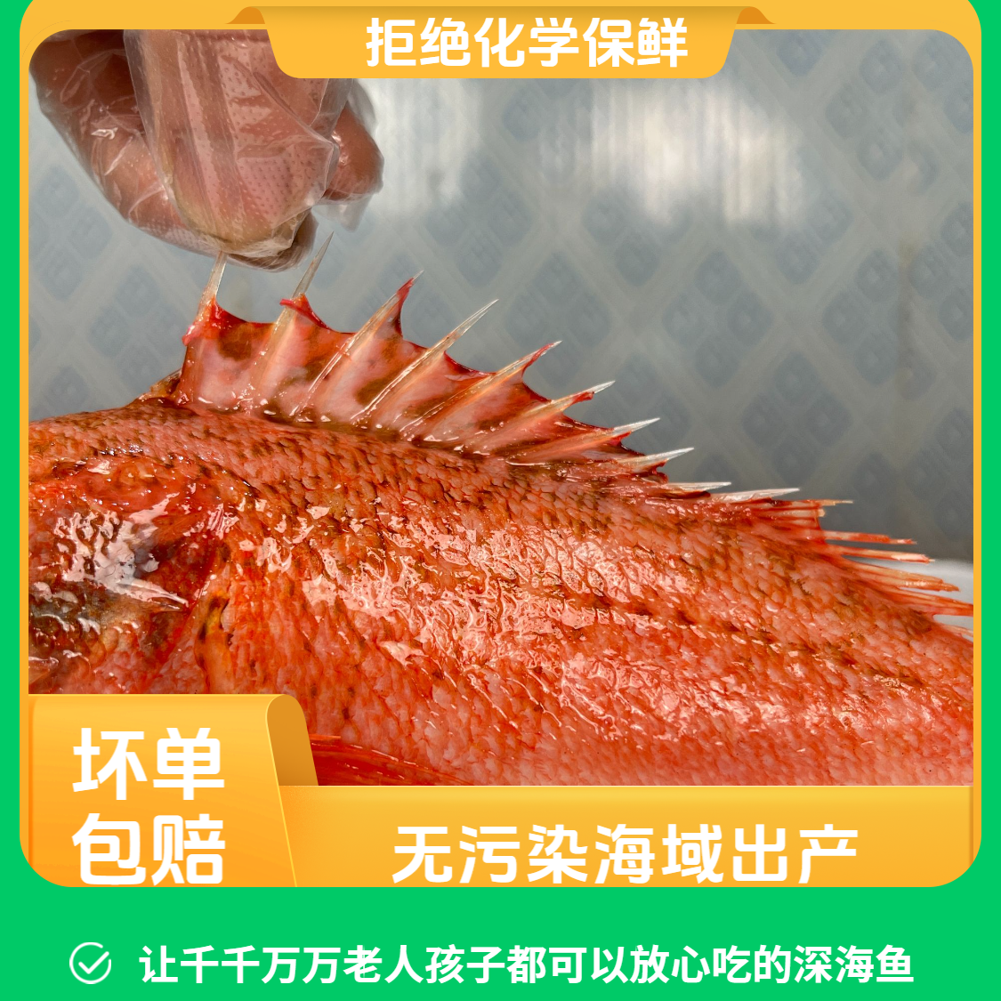 天然石斑鱼味道鲜美营养丰富虎头斑黑腹鲉鱼海鲜速冻顺丰发货