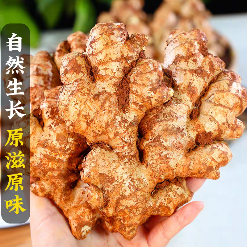 云南小黄姜新鲜现挖老姜嫩姜山地种植辛辣浓郁