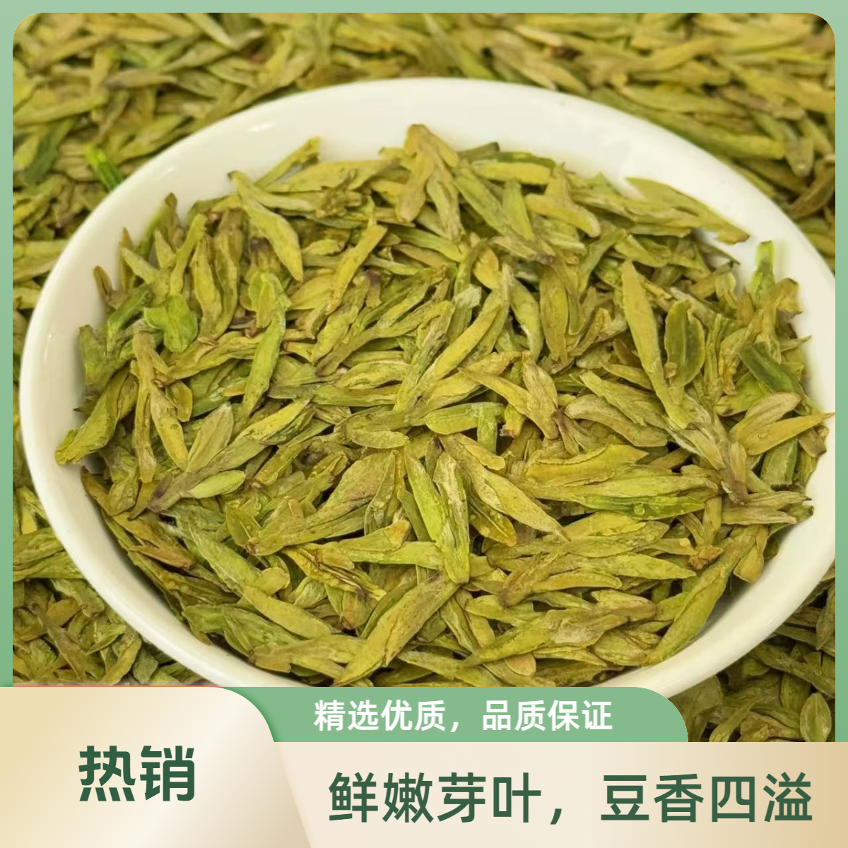 龙3扁茶  2025新茶1