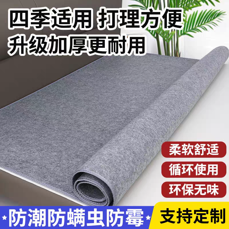 榻榻米隔脏防霉去湿气床上用垫子学生宿舍专用防潮床垫隔潮单人床