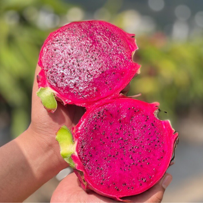 新鲜采摘广西金都一号红心火龙果皮薄超甜新鲜应季水果5/9斤