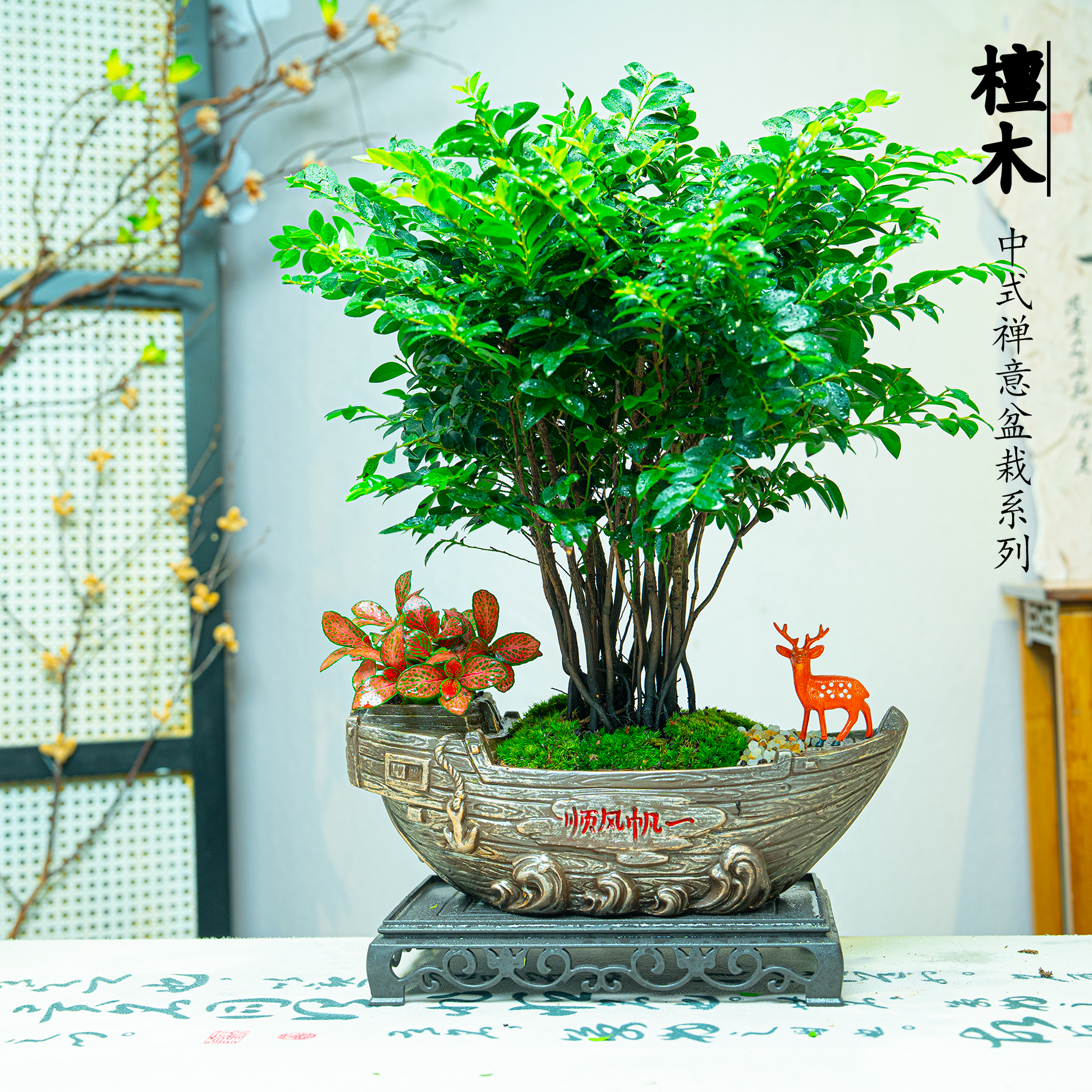 【一帆风顺檀木】檀木丛林桩盆栽新中式植物适合室内桌面四季好养花