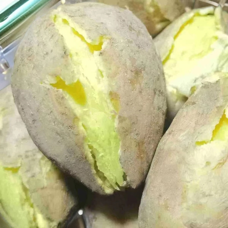 新鲜白皮人参薯黄心板栗薯辅食粉面粗粮地瓜红薯现挖新鲜农家山芋