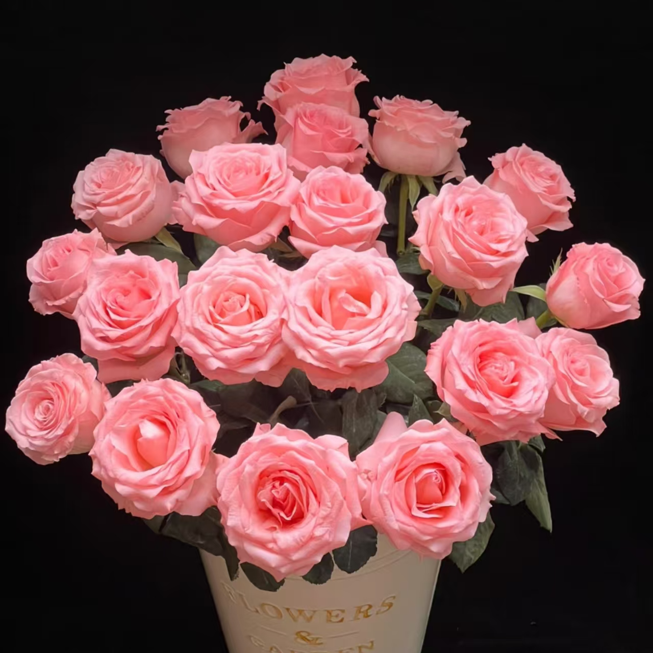 【花予专属】10枝  粉玫瑰 鲜切花