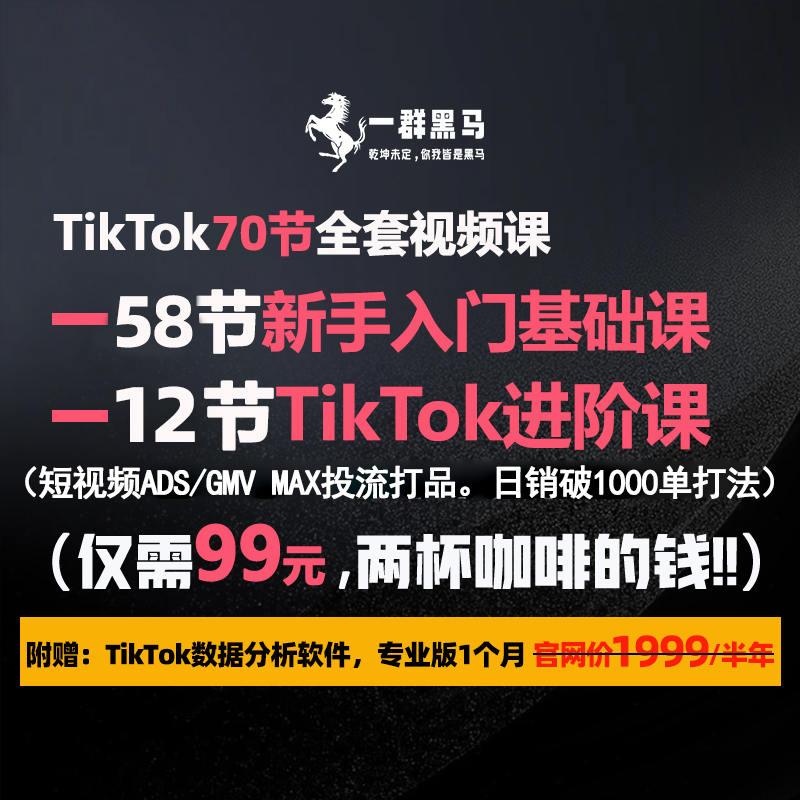 全套70节TikTok视频，58节新手+12节进阶课，跨境电商从零开始学，DP