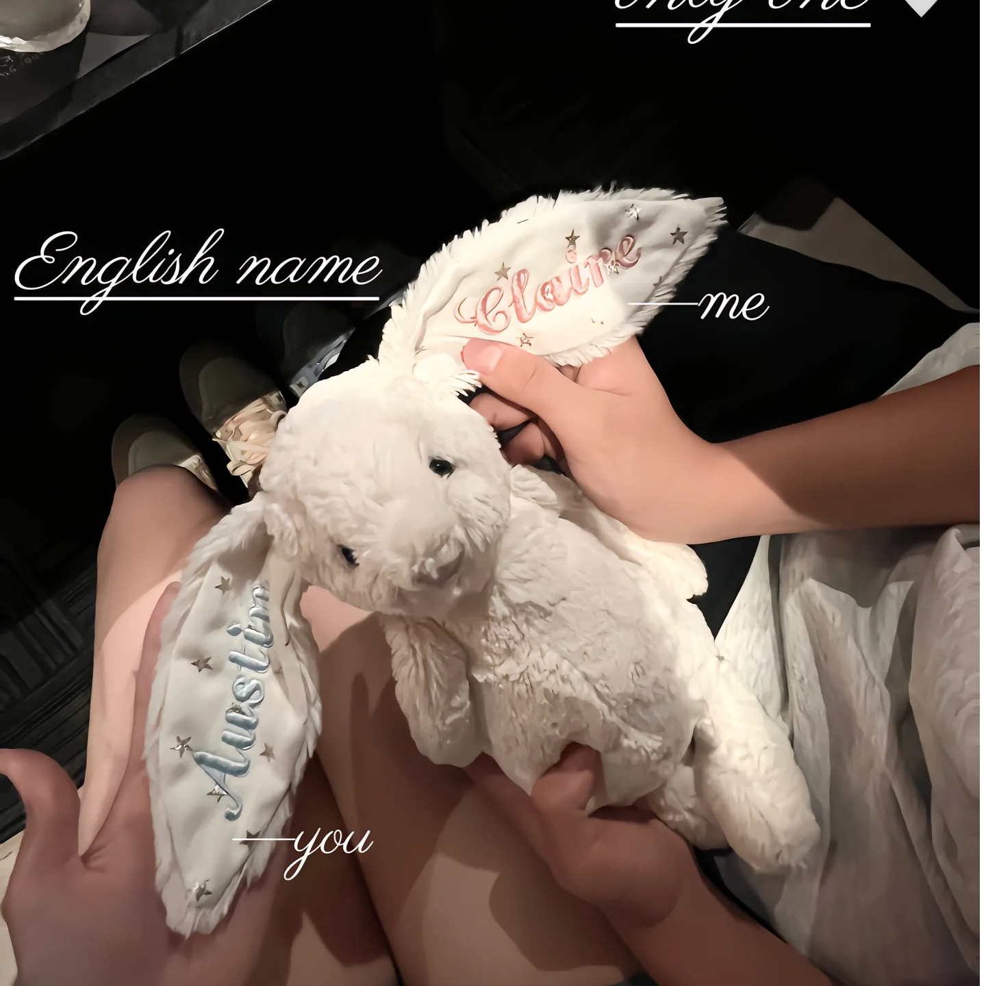 仅刺绣·定制毛绒玩偶定制礼物情侣闺蜜浪漫陪伴生日礼物