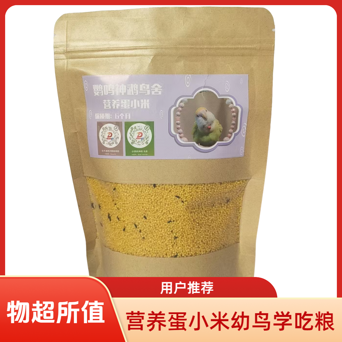 幼鸟学吃粮，营养蛋小米450G