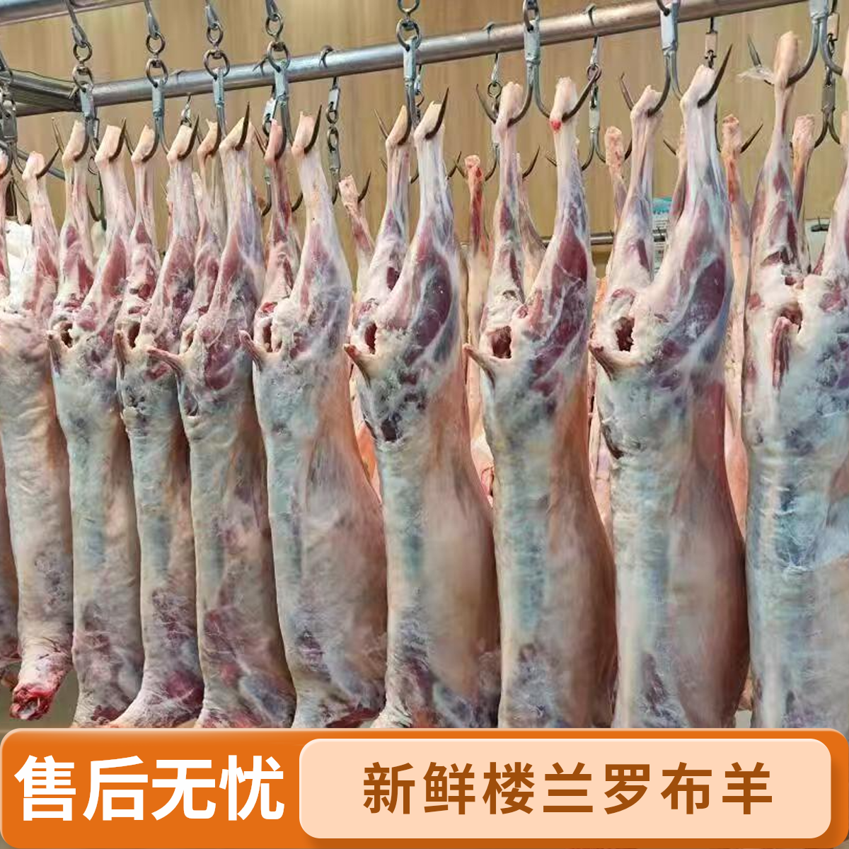 【半羊/整羊15KG】新疆尉犁切块 100%腿排