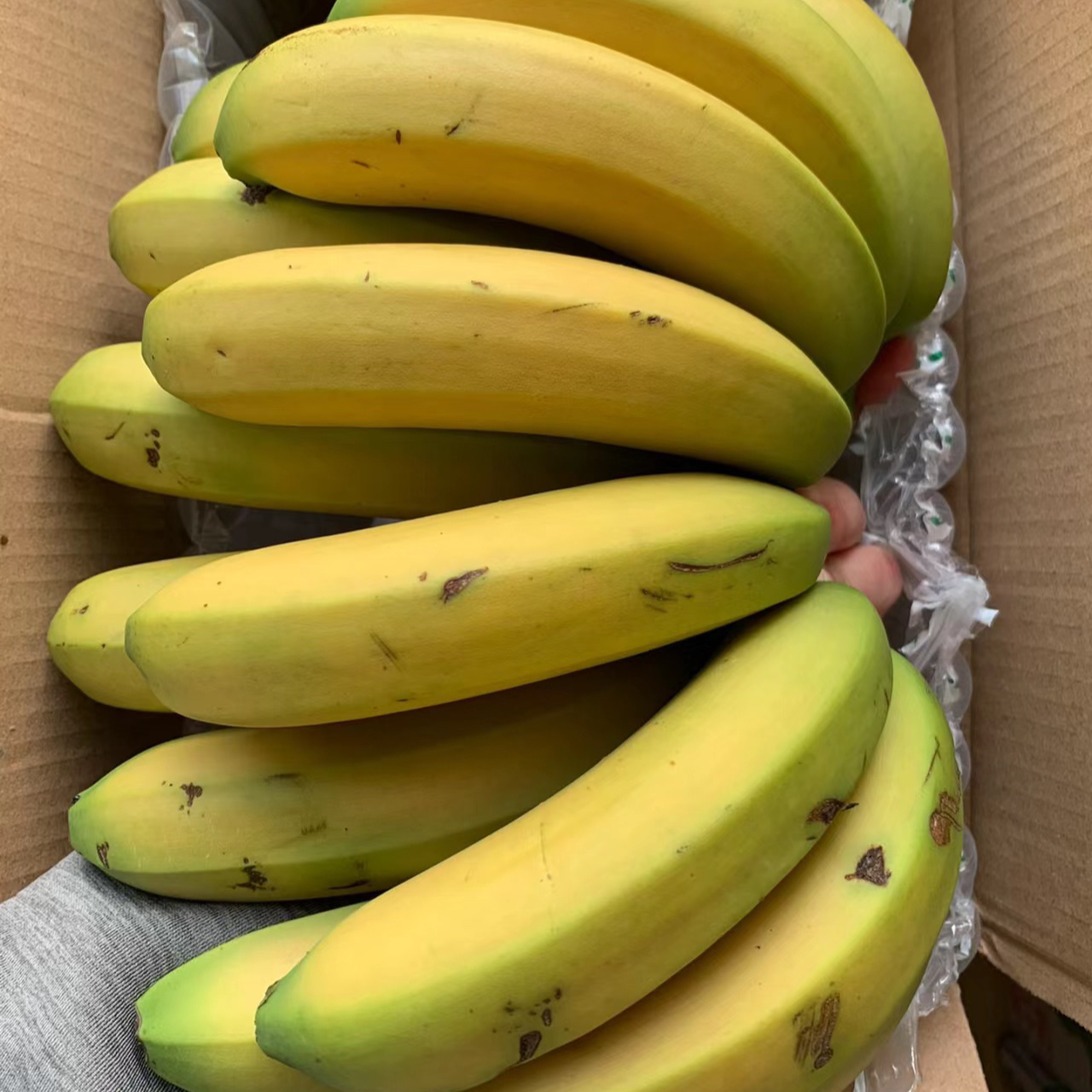 香蕉新鲜广西农家种植大香蕉当季新鲜水果现砍现发整箱包邮