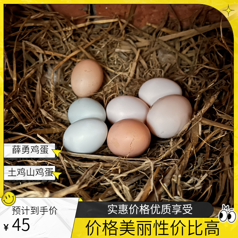 农家散养大山正宗刨山鸡土鸡蛋，有营养味道好，大小不一