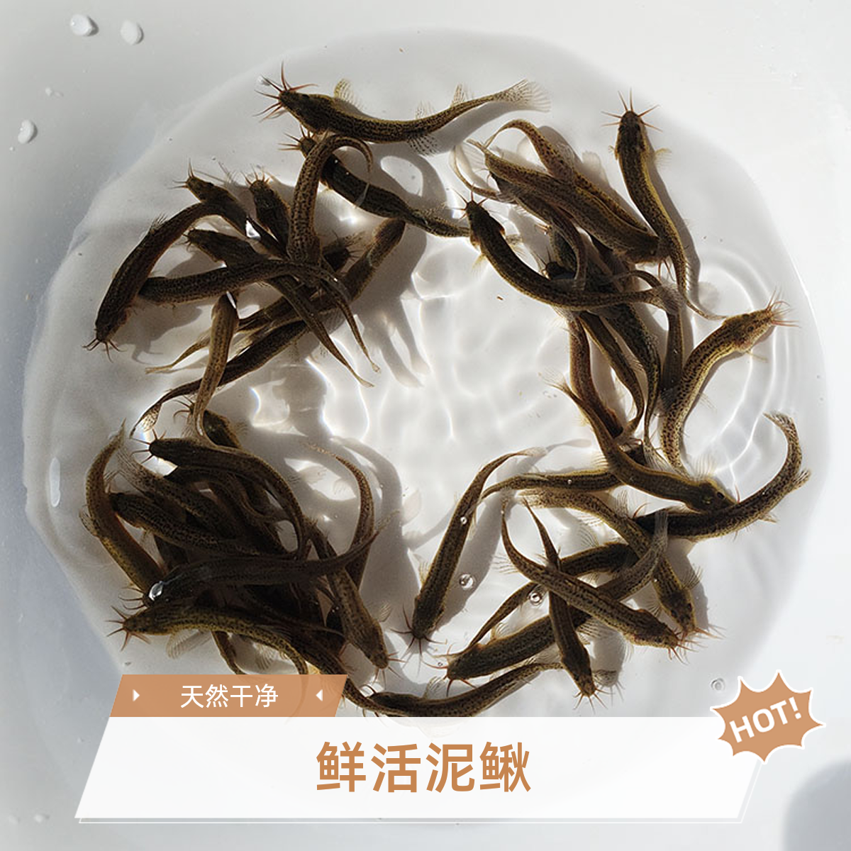 鲜活台湾泥鳅 乌龟观赏鱼淡水鱼饵料 放养路亚清理鱼缸