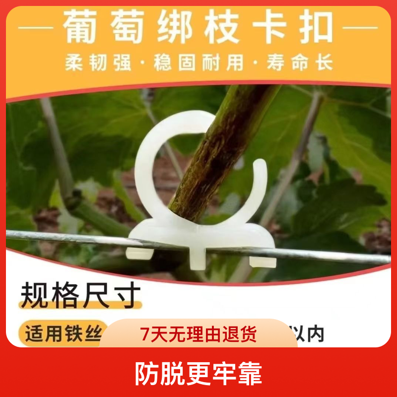 免拆卸葡萄绑枝卡扣猕猴桃新型卡子园艺塑料挂钩新款圆形绑枝卡扣