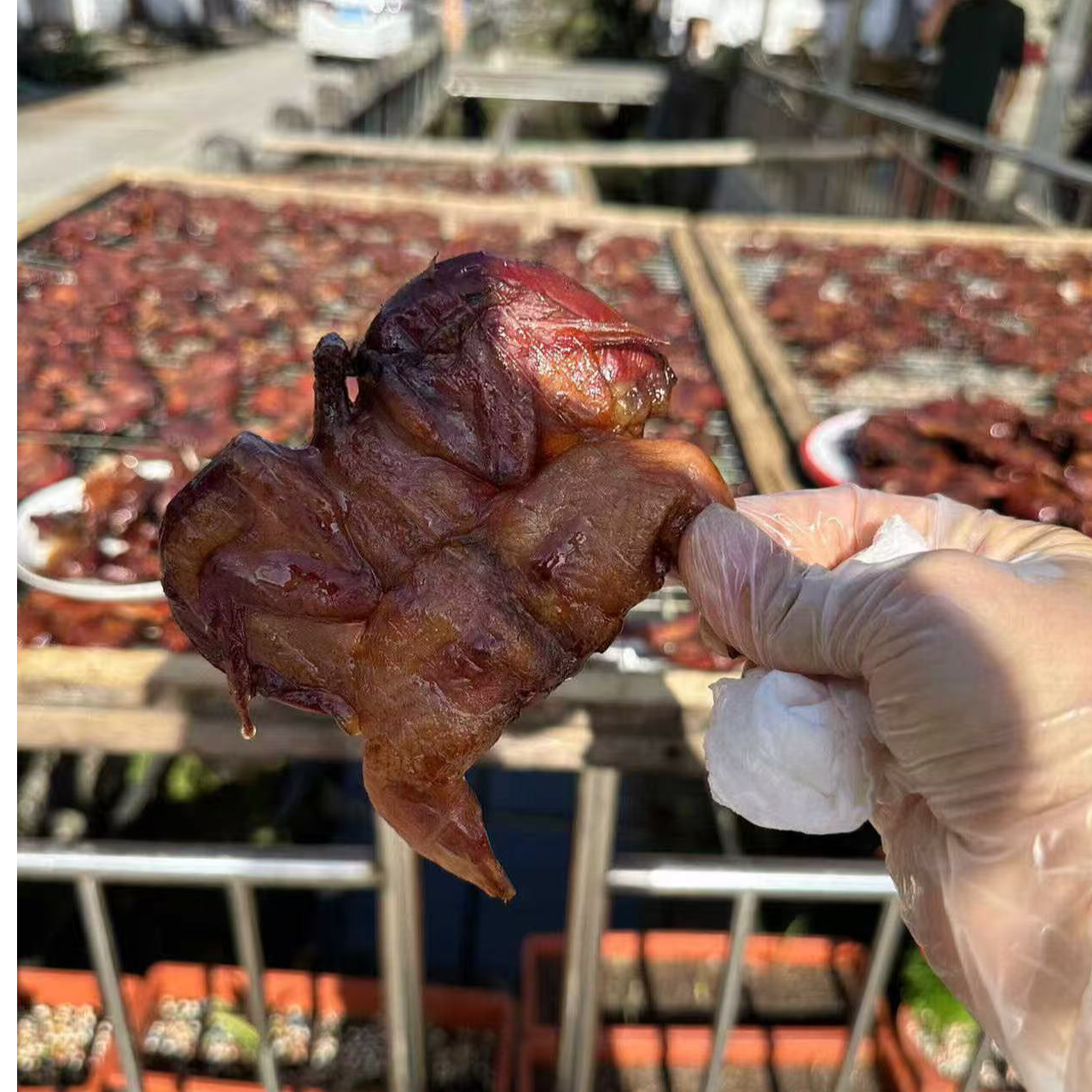 温州特产酱晒小鹌鹑腊味酱香鹌鹑下酒菜烧烤家庭酒店顺丰包邮