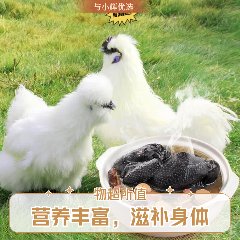 【4只】放养白凤乌鸡新鲜宰杀