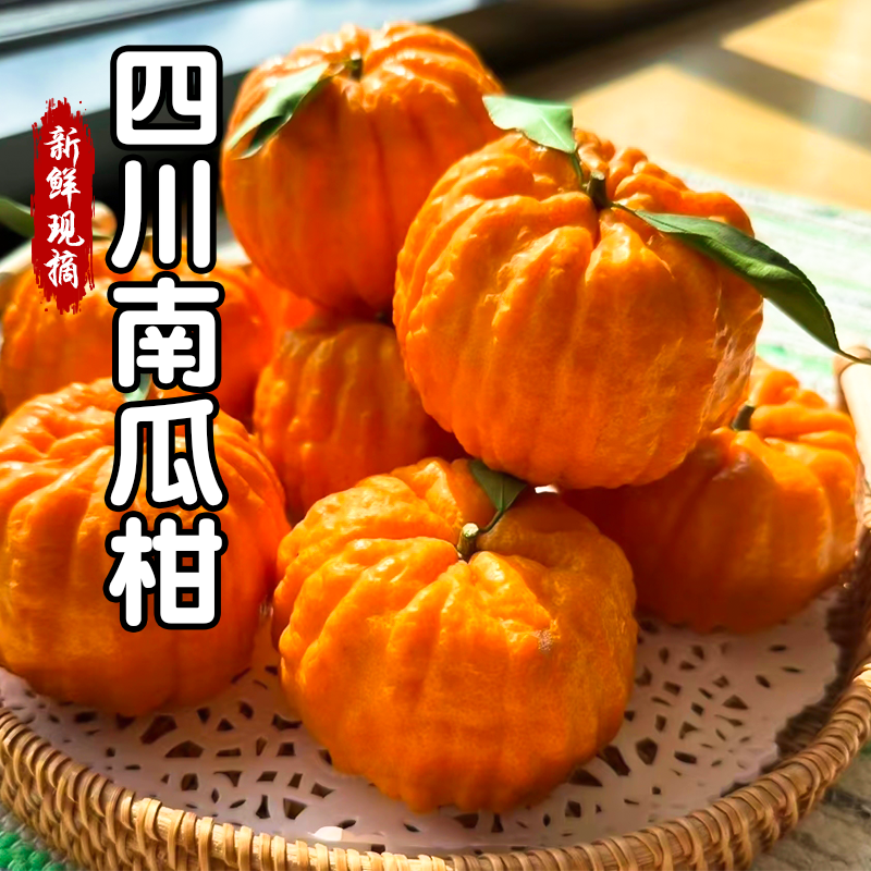 顺丰包邮精品果四川正宗南瓜柑发财灯笼柑当季新鲜水果清甜多汁