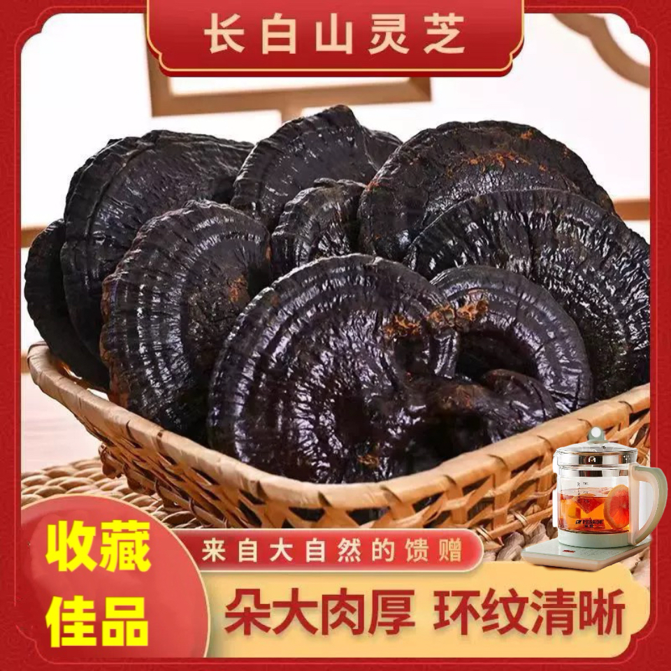 【永乐行】长白山灵芝块干货煮水煲汤佳品S