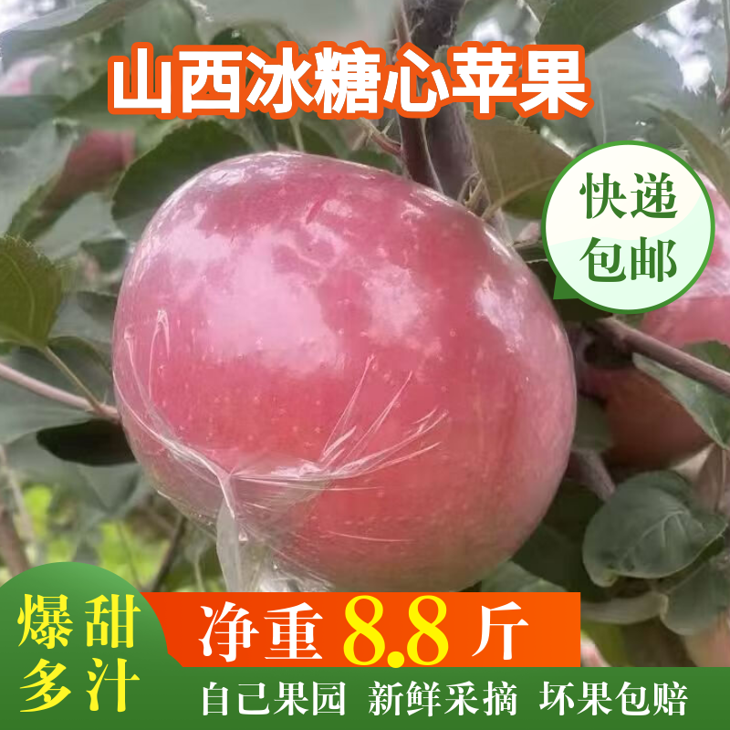 山西头茬红富士苹果新鲜脆甜多汁皮薄冰糖心当季山西运城苹果水果