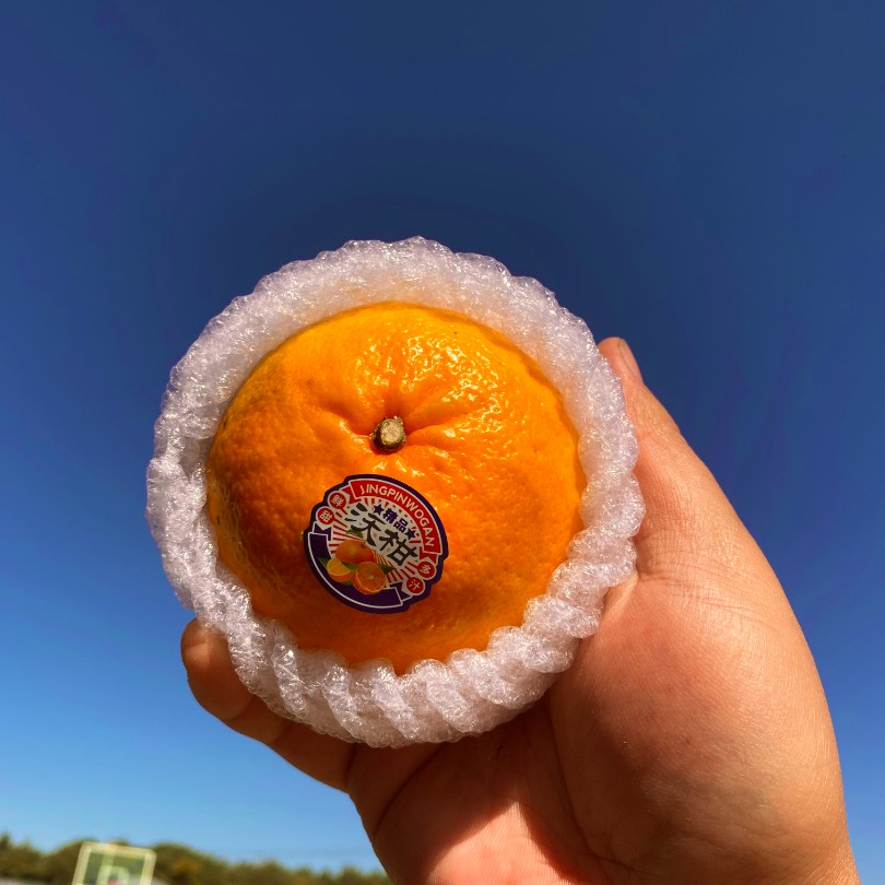 【礼盒装】正宗云南沃柑精品果当季新鲜水果爆甜老人吃的水果孕妇