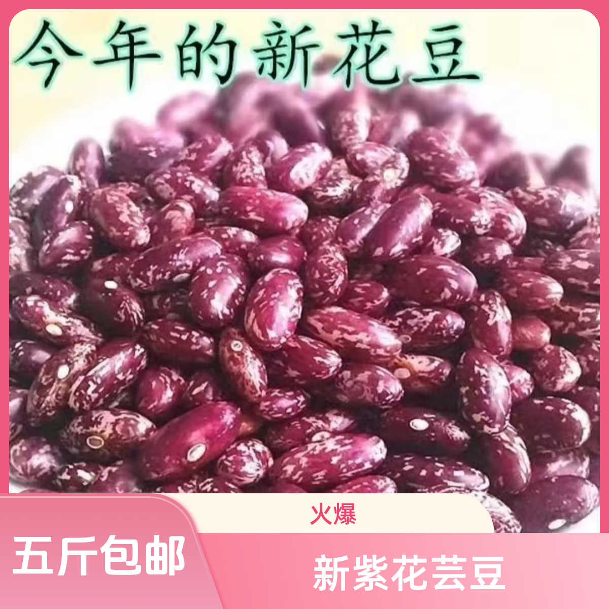 【每日500单福利抢5斤包邮】新紫花芸豆饭豆腰豆五谷杂粮产地直发