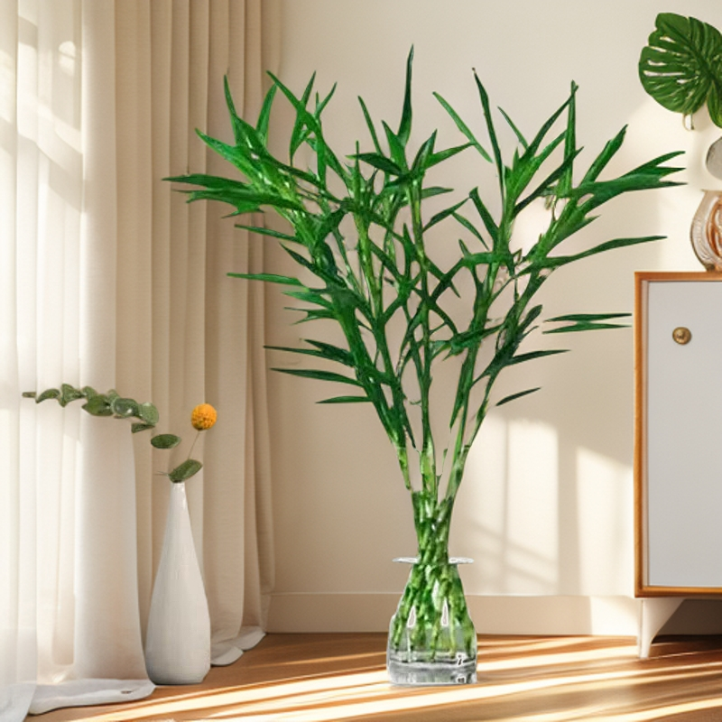 鲜切小叶招财竹水培桌面女生轻奢室内办公室会所绿植护眼好转运竹