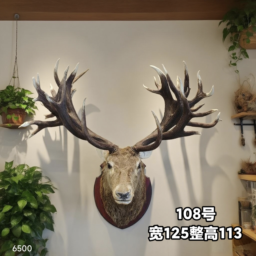 复古特大号壁挂鹿头真皮毛真鹿角客厅背景墙装饰