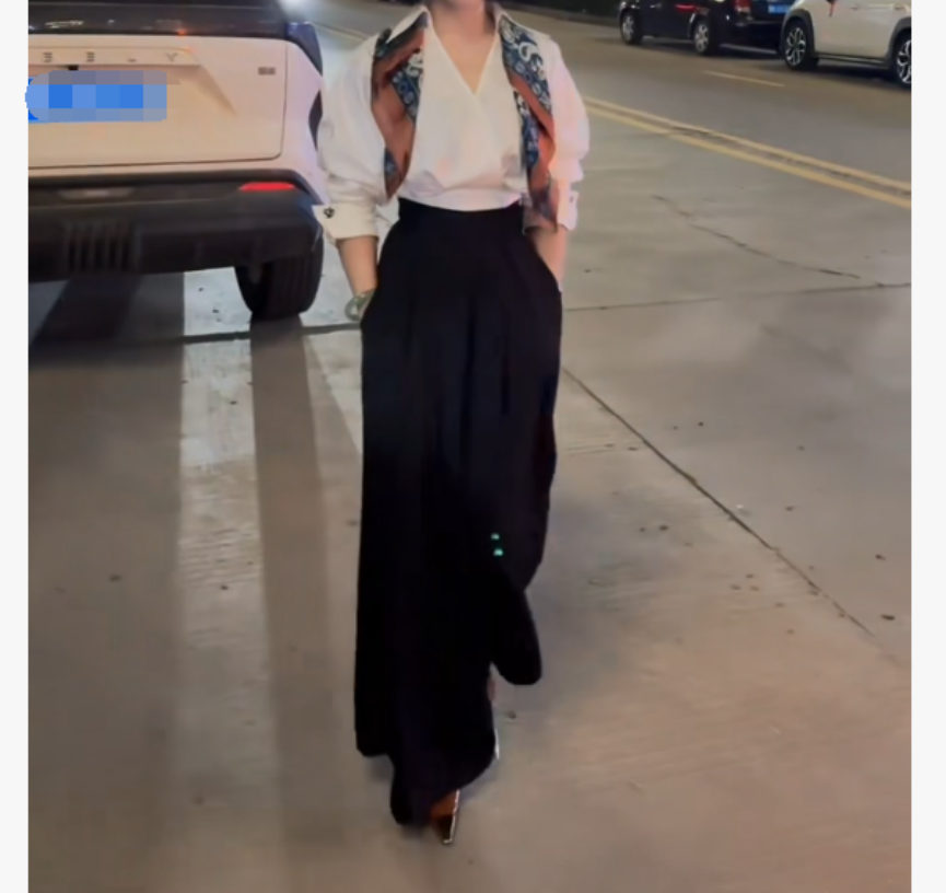 2025早秋时尚潮流百搭爆款女装雾A521