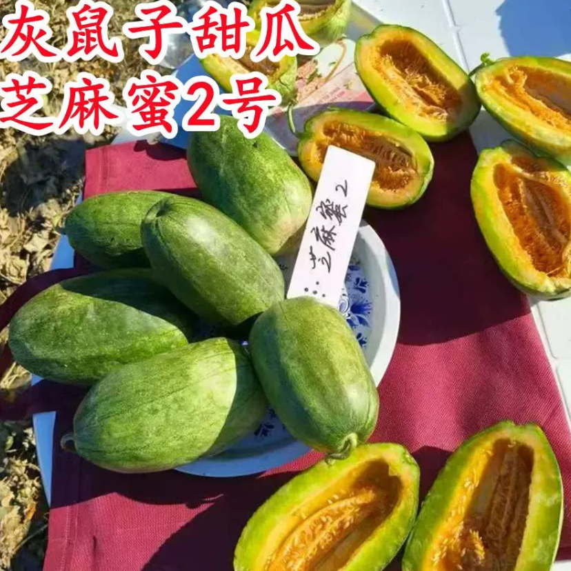 灰鼠子甜瓜种子芝麻蜜2号绿皮青香瓜甜瓜种酥脆九道绿宝翡翠种子