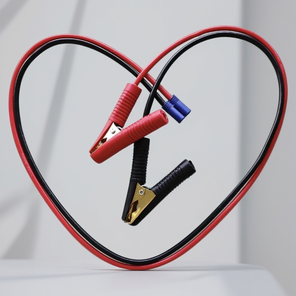 （尹哥玩摩托）摩托车专用应急搭火线