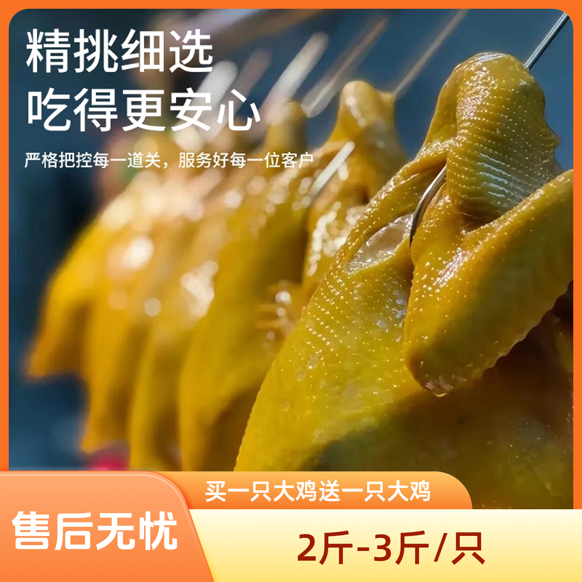 赣当家直播间专属【买一送一到手4斤-6斤2只整大鸡】五指毛桃盐焗鸡