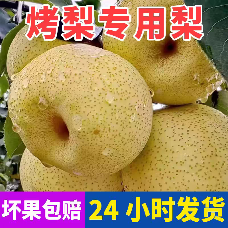 烤梨专用梨子安徽砀山梨小梨现摘梨膏用梨水果梨脆甜酥梨整箱包邮