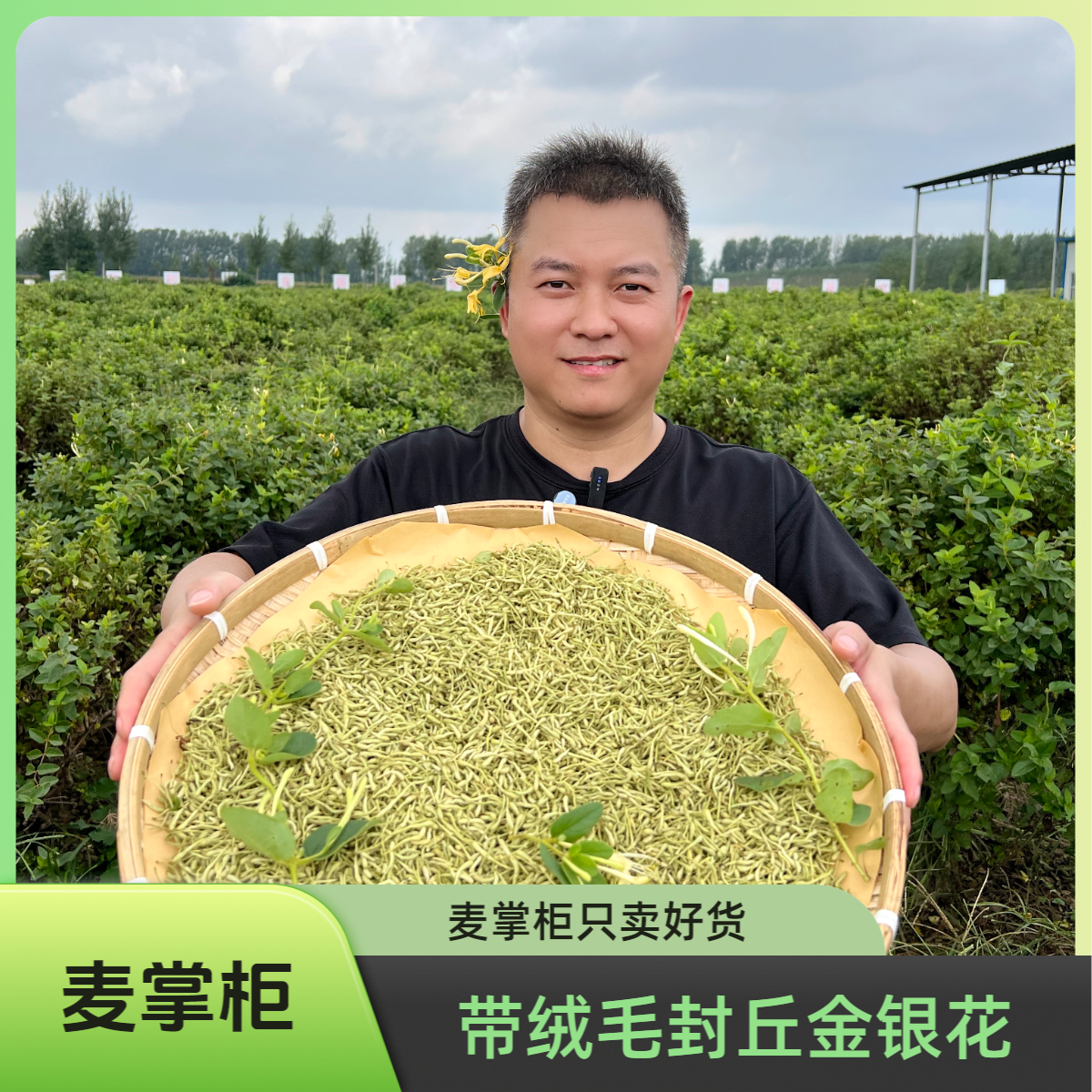 正宗带绒毛金银花河南封丘产地直发头茬新货无硫支持试喝的花草茶